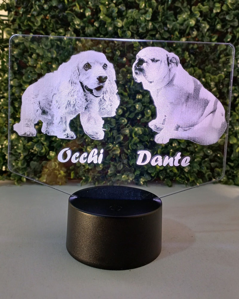 : Fotograbado Láser Personalizado de tu Mascota – Un Recuerdo para Siempre ✨🥺