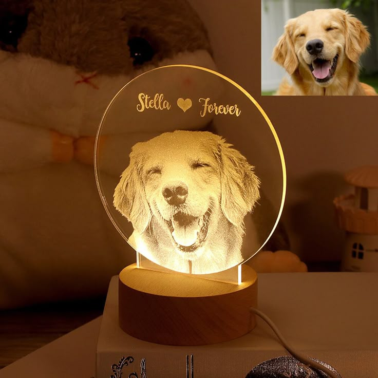 : Fotograbado Láser Personalizado de tu Mascota – Un Recuerdo para Siempre ✨🥺